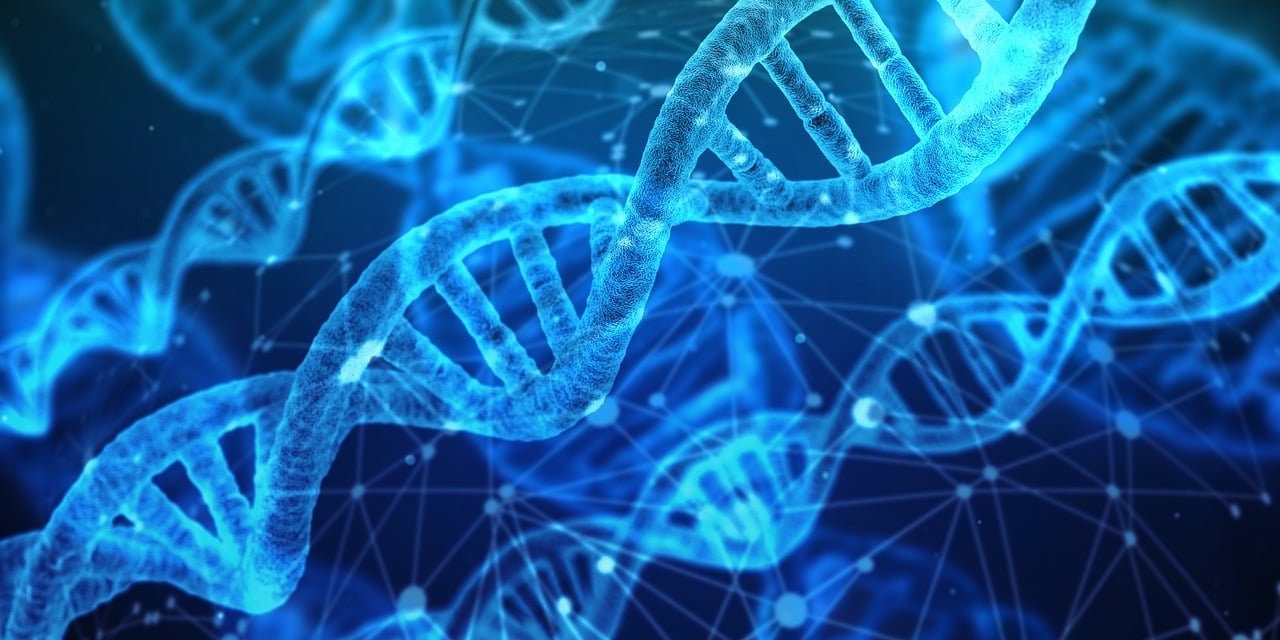 Visualization of AlphaFold 3 predicting structures of biomolecular complexes, including proteins, DNA, ligands, and antibodies.